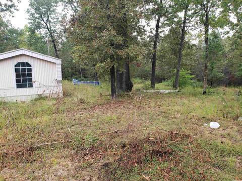 326 Doe Run Cir, Glencoe, AR 72539 photo 3