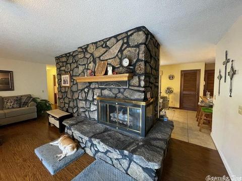 603 Riverview Dr, Mammoth Spring, AR 72554 photo 10