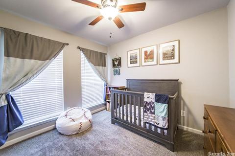 87 Smarty Jones Cir, Austin, AR 72007 photo 22