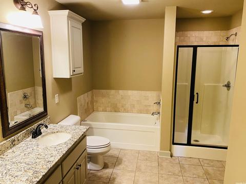 209 Sierra Cv, Austin, AR 72007 photo 26