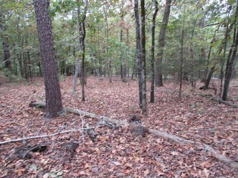 12 Princesa Dr, Hot Springs Village, AR 71909