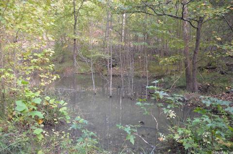 1313 Hwy 31 N, Beebe, AR 72012 photo 27