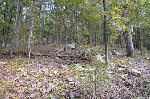 1313 Hwy 31 N, Beebe, AR 72012 photo 32