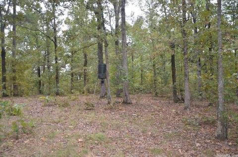 1313 Hwy 31 N, Beebe, AR 72012 photo 34