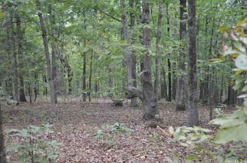 1313 Hwy 31 N, Beebe, AR 72012 photo 35