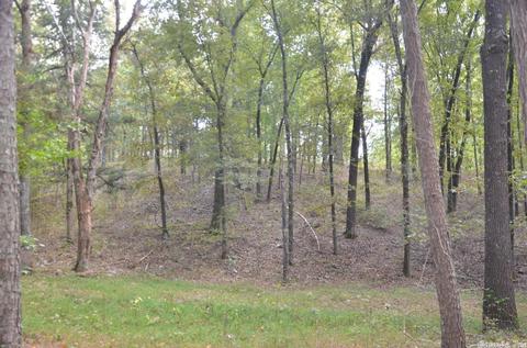1313 Hwy 31 N, Beebe, AR 72012 photo 24