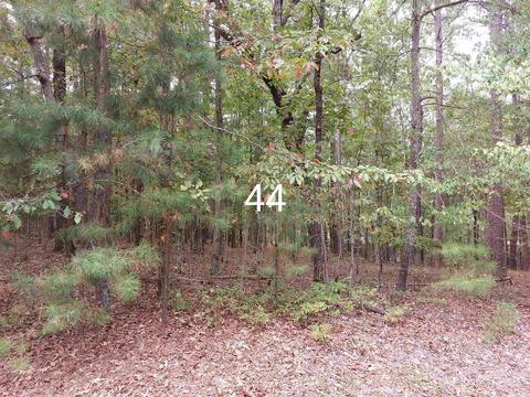 44 Granada Dr, Hot Springs Village, AR 71909