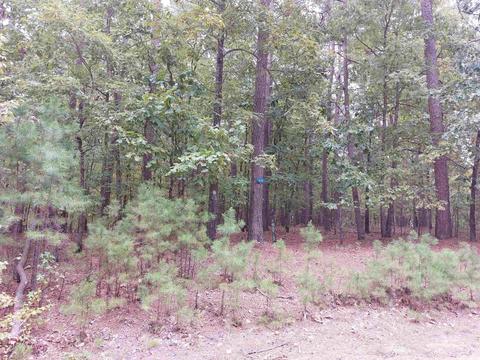 4 Granada Pl, Hot Springs Village, AR 71909