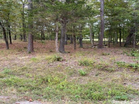 28 Princesa Dr, Hot Springs Village, AR 71909