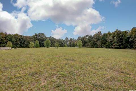 143 Proctor Ln, Romance, AR 72136 photo 38