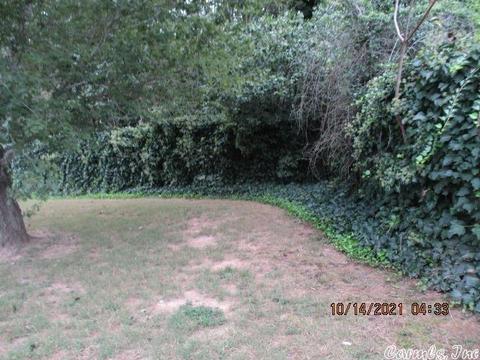13807 Harold, Alexander, AR 72002 photo 8