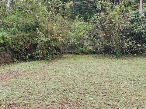 1403 Collins, Pine Bluff, AR 71603 photo 13