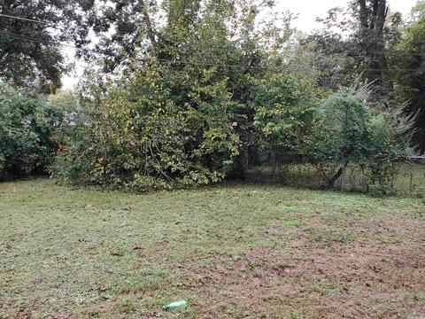 1403 Collins, Pine Bluff, AR 71603 photo 12