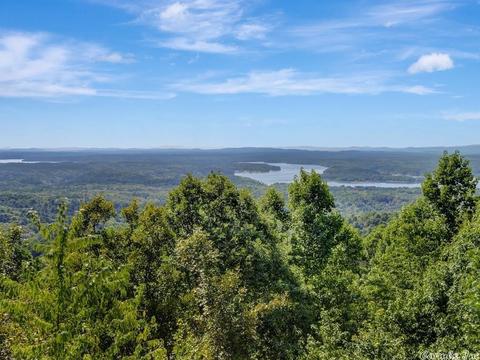 12 Lakeview, Mount Ida, AR 71970 photo 37