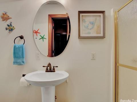 12 Lakeview, Mount Ida, AR 71970 photo 29