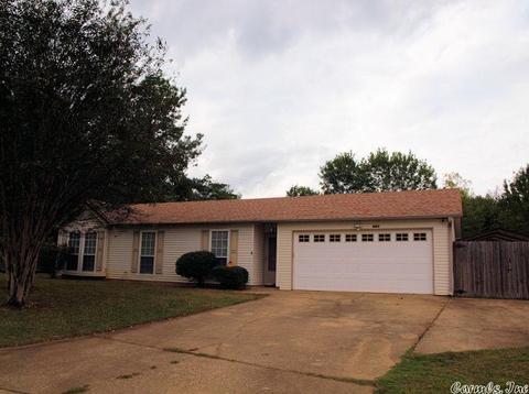13124 Carousel Ct, Alexander, AR 72002 photo 2