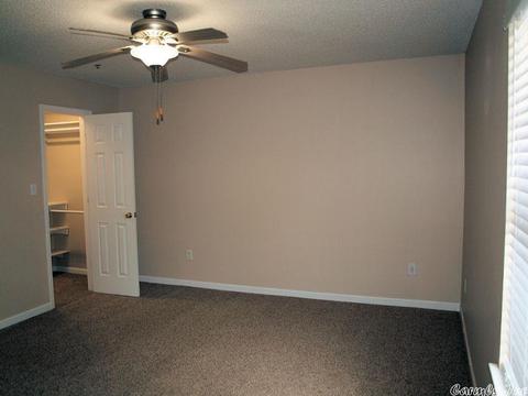 13124 Carousel Ct, Alexander, AR 72002 photo 8