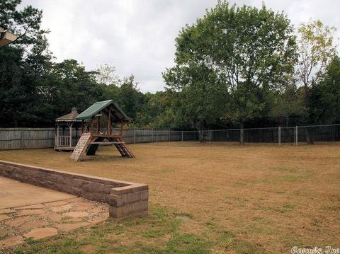 13124 Carousel Ct, Alexander, AR 72002 photo 15