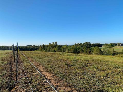 5 Windy Ln, Quitman, AR 72131 photo 37