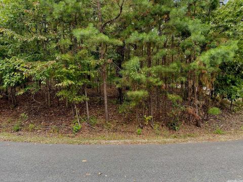 33 Granada Dr, Hot Springs Village, AR 71909