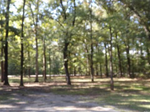 7505 Old Warren, Pine Bluff, AR 71603 photo 4