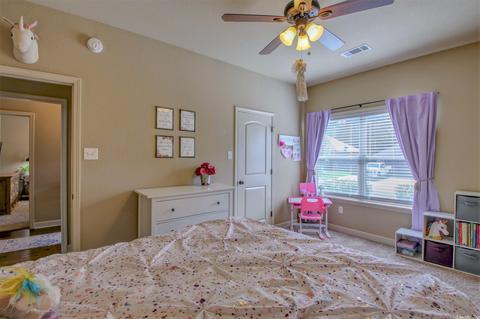 116 Hudson Br, Austin, AR 72007 photo 24