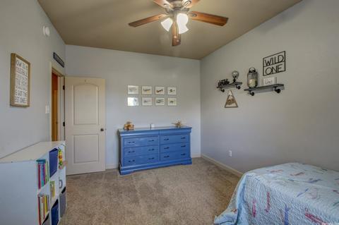 116 Hudson Br, Austin, AR 72007 photo 21