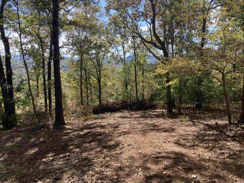 1110 Double Bridge Loop, Mountain View, AR 72560 photo 6