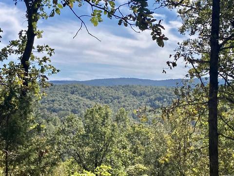 1110 Double Bridge Loop, Mountain View, AR 72560 photo 1