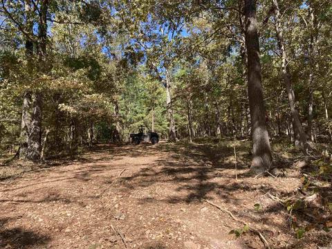 1110 Double Bridge Loop, Mountain View, AR 72560 photo 3