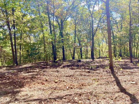 1110 Double Bridge Loop, Mountain View, AR 72560 photo 7