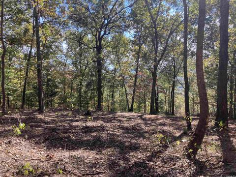 1110 Double Bridge Loop, Mountain View, AR 72560 photo 8