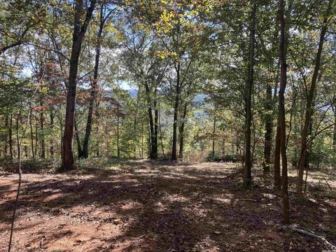 1110 Double Bridge Loop, Mountain View, AR 72560 photo 9