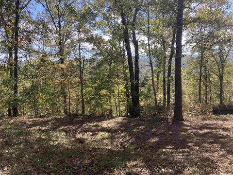 1110 Double Bridge Loop, Mountain View, AR 72560 photo 5