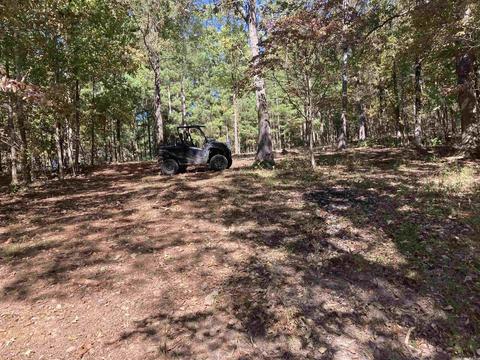 1110 Double Bridge Loop, Mountain View, AR 72560 photo 4