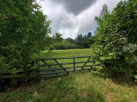193 Cr 265, Rector, AR 72461 photo 7