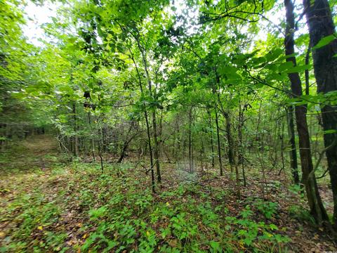 193 Cr 265, Rector, AR 72461 photo 26