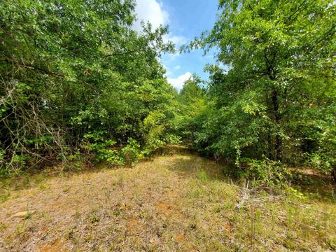 193 Cr 265, Rector, AR 72461 photo 19