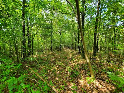193 Cr 265, Rector, AR 72461 photo 23