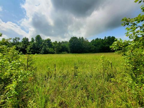 193 Cr 265, Rector, AR 72461 photo 9