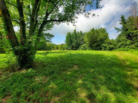 193 Cr 265, Rector, AR 72461 photo 1
