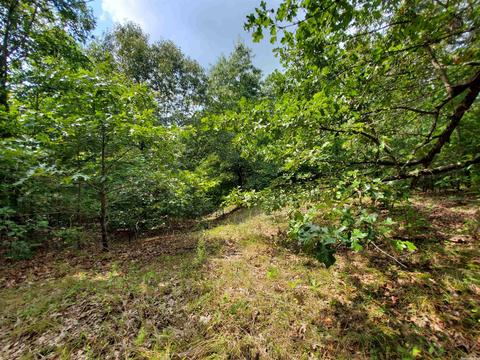 193 Cr 265, Rector, AR 72461 photo 18