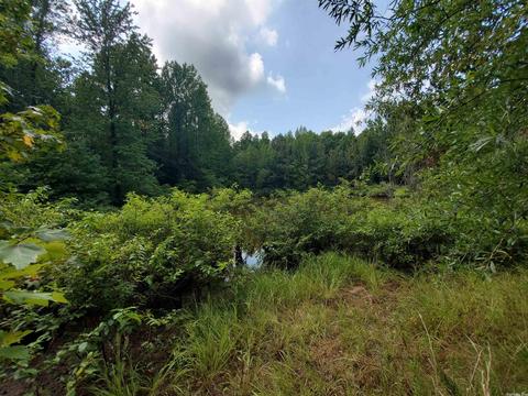 193 Cr 265, Rector, AR 72461 photo 31