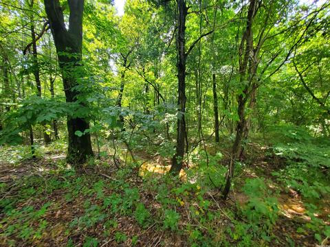 193 Cr 265, Rector, AR 72461 photo 6