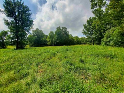 193 Cr 265, Rector, AR 72461 photo 3
