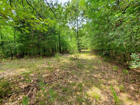 193 Cr 265, Rector, AR 72461 photo 15
