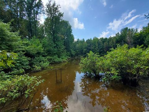 193 Cr 265, Rector, AR 72461 photo 30