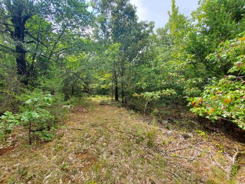 193 Cr 265, Rector, AR 72461 photo 17