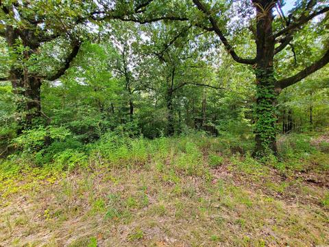 193 Cr 265, Rector, AR 72461 photo 14