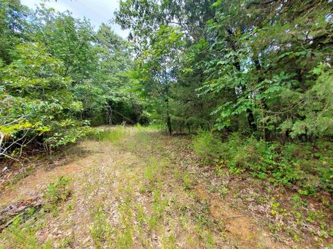 193 Cr 265, Rector, AR 72461 photo 16